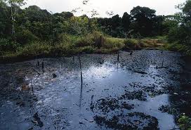 OIL SPILL IN THE PERU RAINFOREST 2005, with desastrous consequences!!